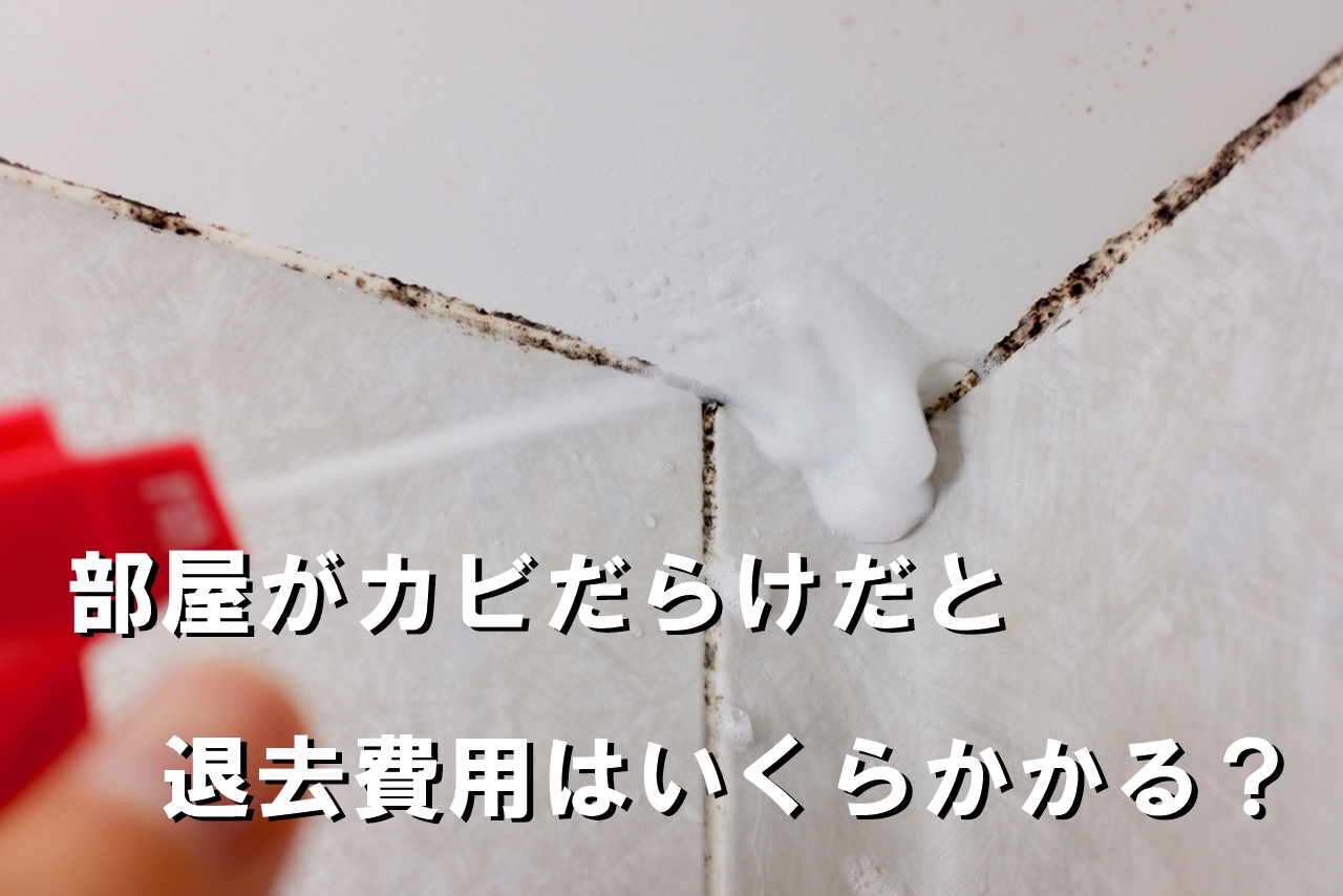 賃貸アパートでカビだらけだと退去費用はいくらかかる 一人暮らし初心者おすすめナビ ヒトグラ